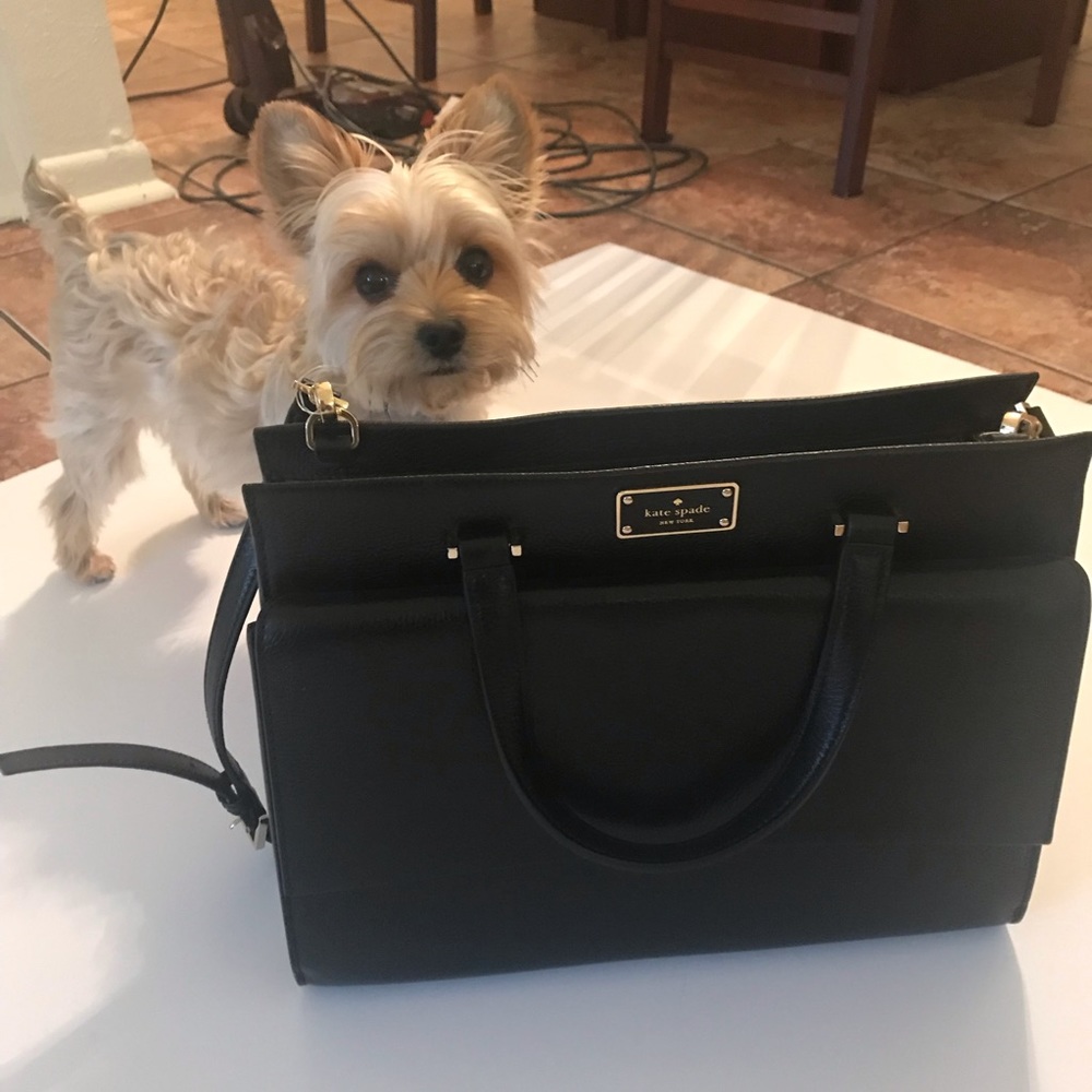New condition Kate Spade black purse